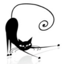 schwar3kat
